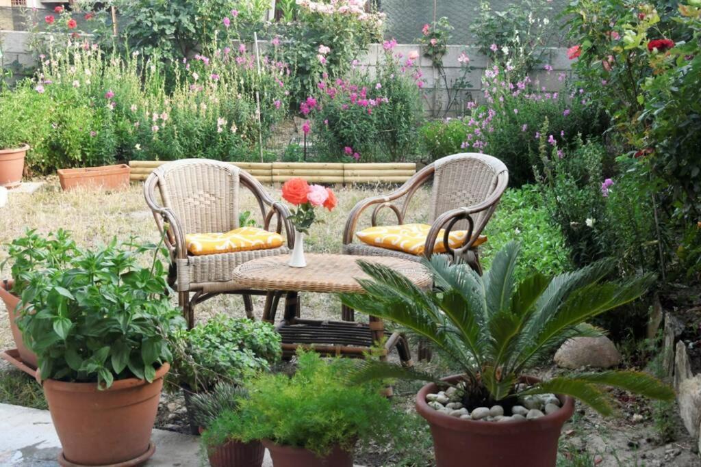 Casa Vacanze Millefiori Codice Iun Q3156 テウラーダ エクステリア 写真